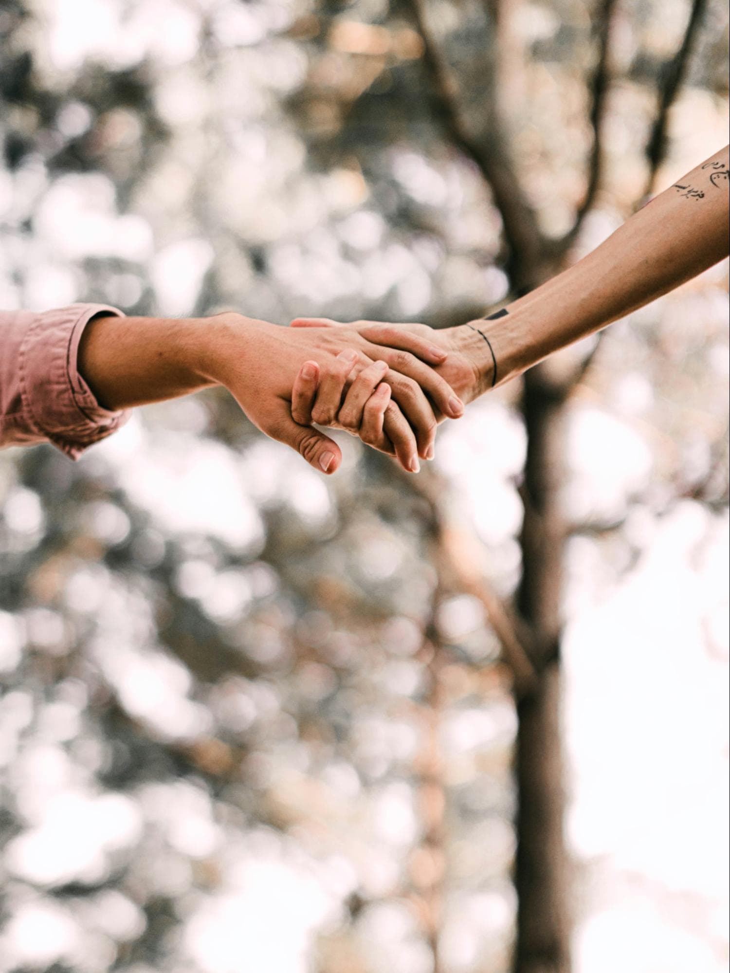 Two people reaching out and holding hands outdoors